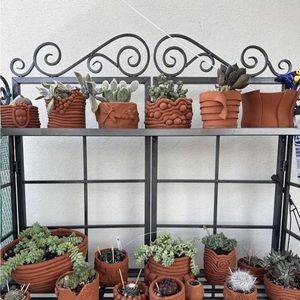 Meet your Posher, Alyn